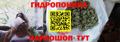 стафф Бийск