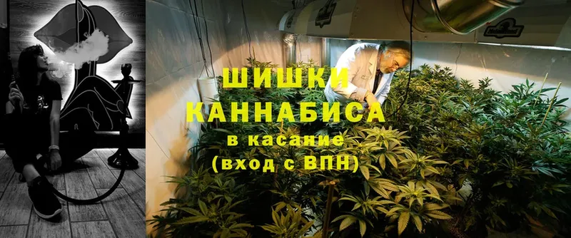 МАРИХУАНА Ganja  Прохладный 